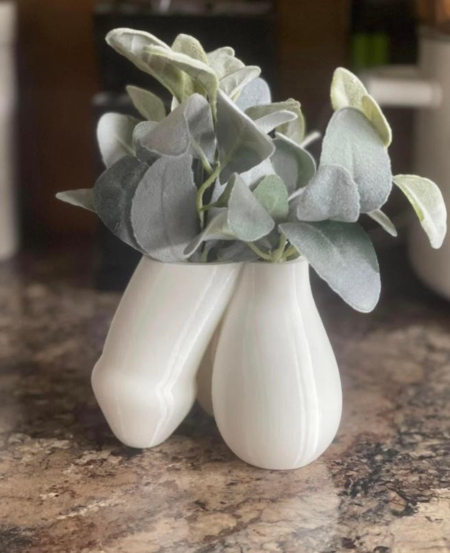 Penis Planter 3D Printed